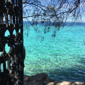 Zanzibar 9 - 17 Marzo 2027 - Bravo Smart Palumbo Mnemba