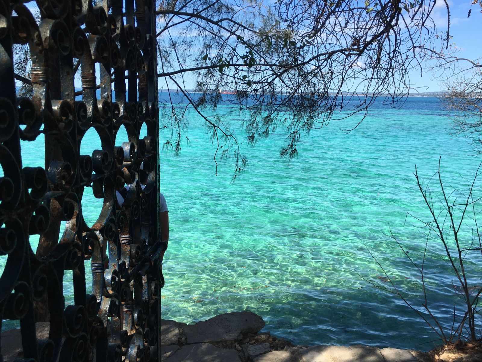 Zanzibar 9 – 17 Marzo 2027 – Bravo Smart Palumbo Mnemba